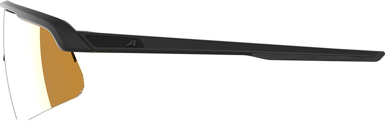 Alpina turbo pro s q - lunettes de sport