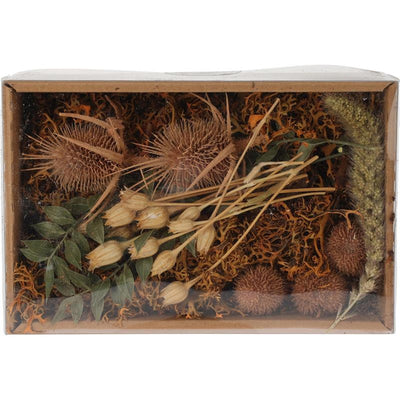 Mélange de fleurs séchées pour décoration d'intérieur en boîte nature