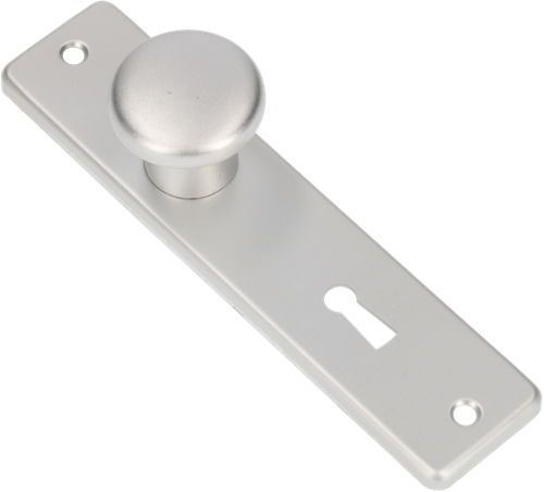 Bouton Ami 160 40 bouclier court fixe 165 4 dr sl 56 f1 - 310152