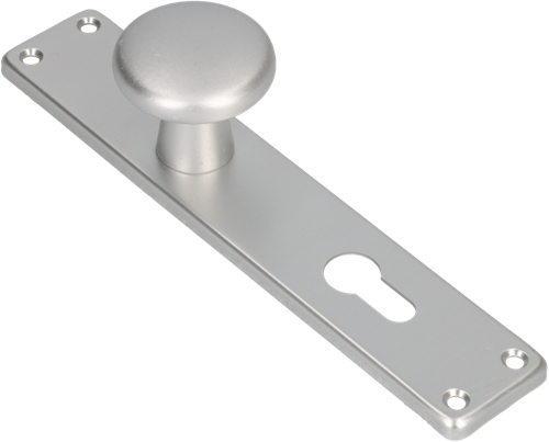 Bouton Ami 160 50 bouclier long fixe 212 41 cylindre profil droit 72 f1 - 313796