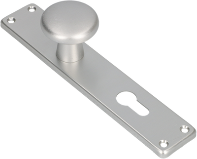 Bouton Ami 160 50 bouclier long fixe 212 41 cylindre profil droit 72 f1 - 313796