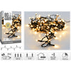 Lumières de Noël 80 LED blanc très chaud