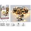 Lumières de Noël 48LED batterie blanc chaud