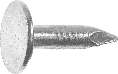 Clou de schiste Connex 2,8x12 avec seau 1,0kg - b30121