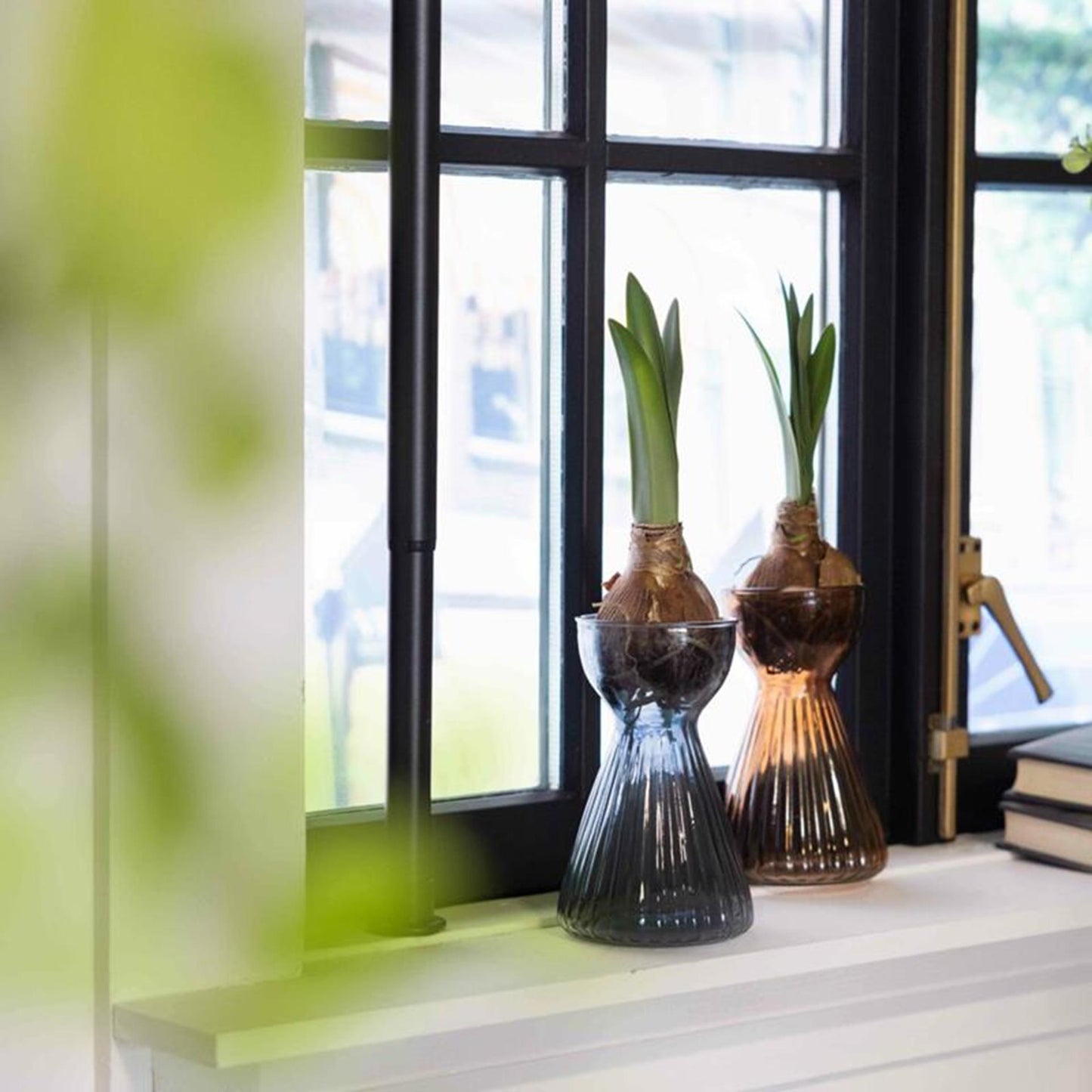 Esschert design Vase à bulbe Esschert amaryllis côtelé