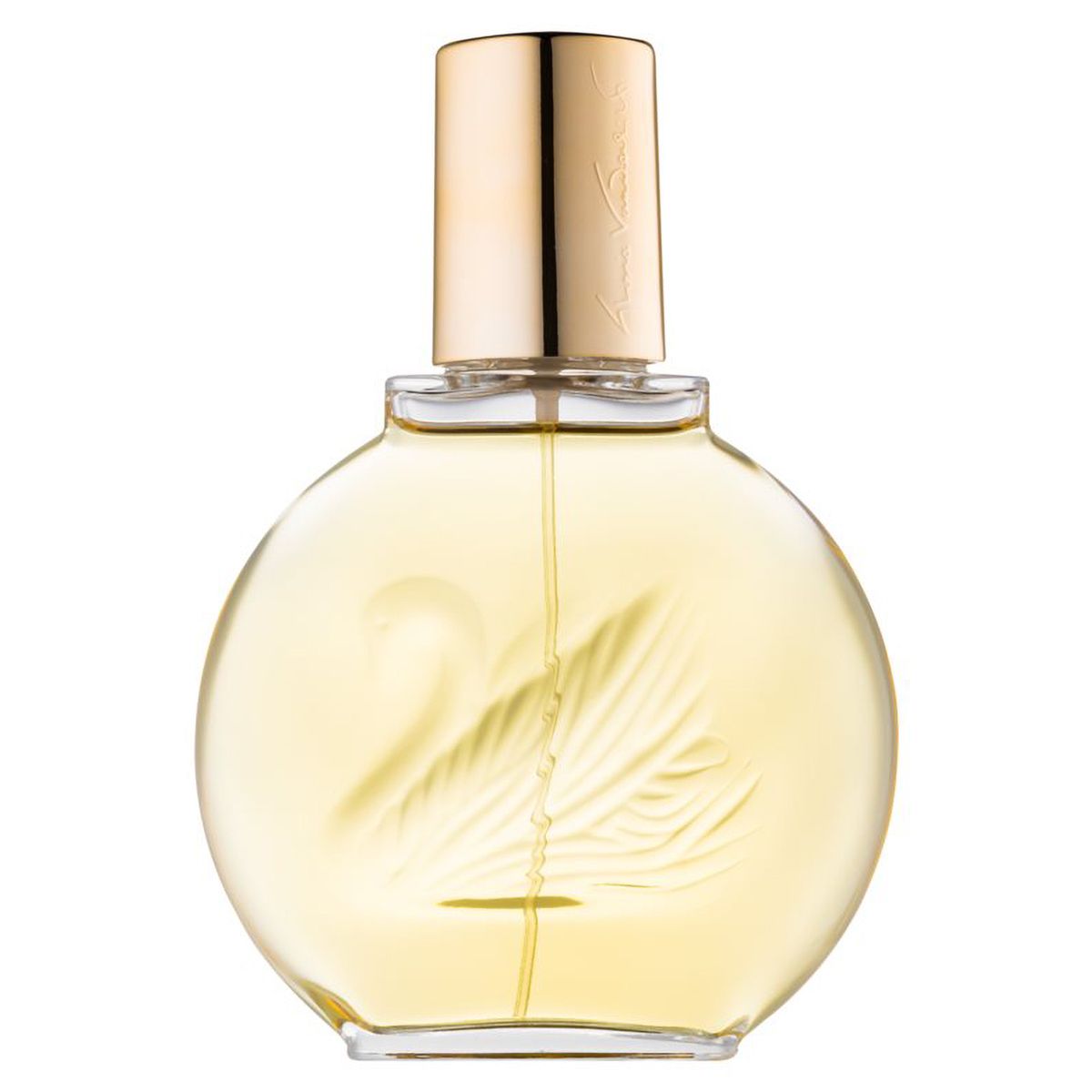 Gloria van der Bilt Eau de Toilette Spray 100 ml dames