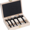 Bosch accessoires expert bois forstner jeu de forets | 5 pièces - 2608901843