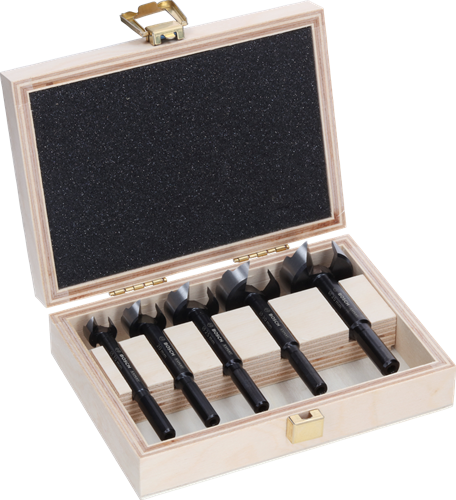 Bosch accessoires expert bois forstner jeu de forets | 5 pièces - 2608901843