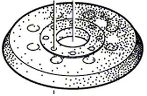 Accessoires Bosch pied de ponçage pour bosch gex 125-1 ae | 2609100541 - 2609100541