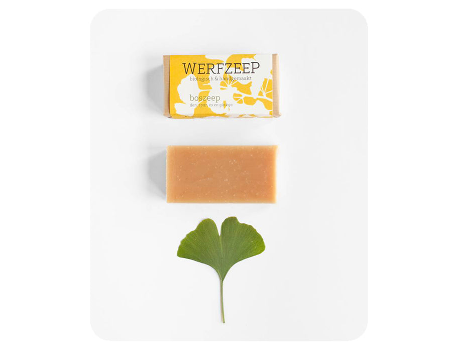 Werfzee werf savon boszee 100 gr