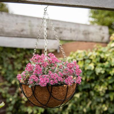 Insert en noix de coco design Esschert 25cm