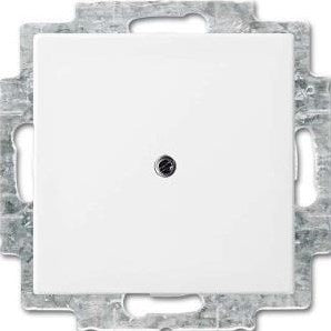 Plaque aveugle blanche Busch Jaeger - 4694080