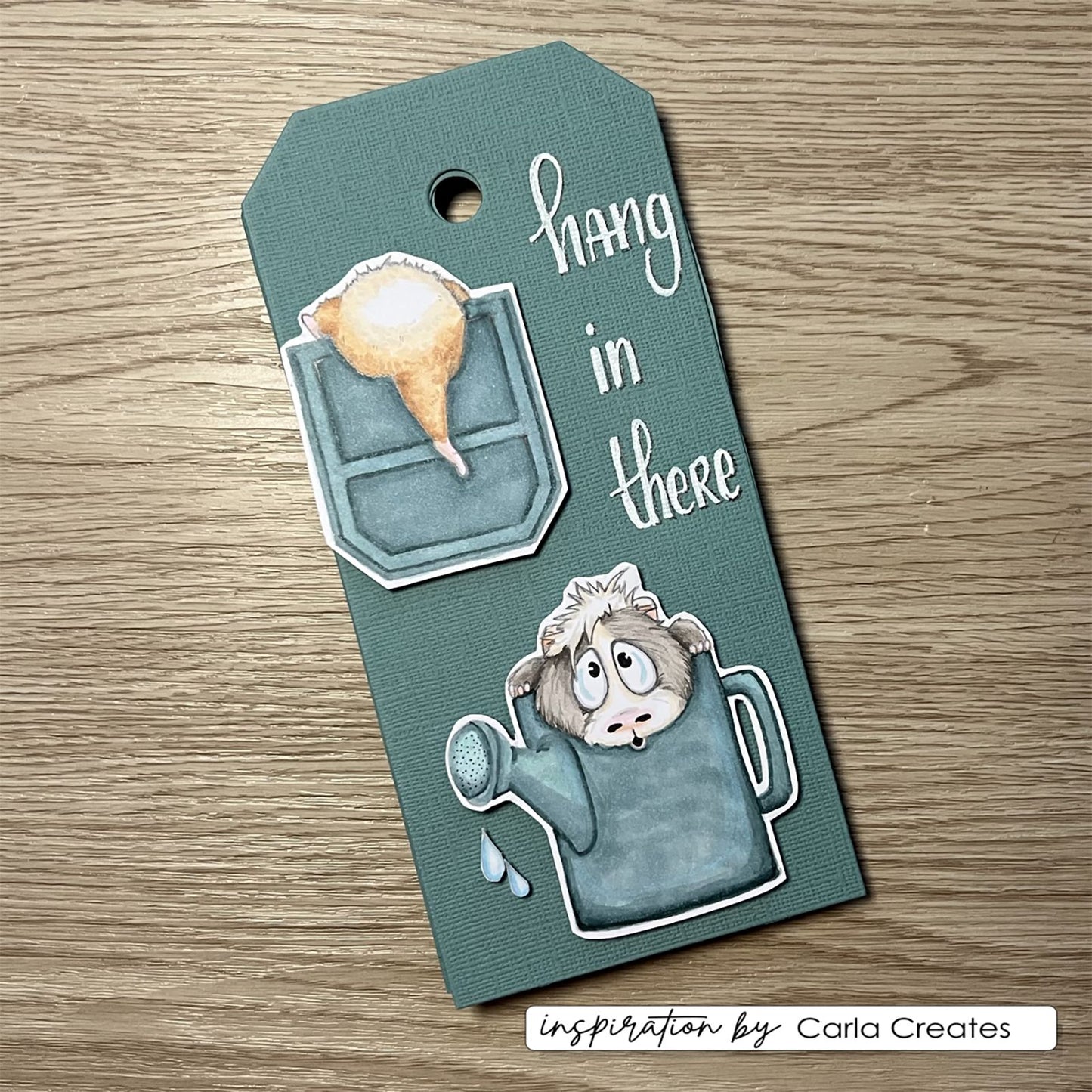 Vaessen creative • tampons transparents cochons d'Inde 4 7pcs.