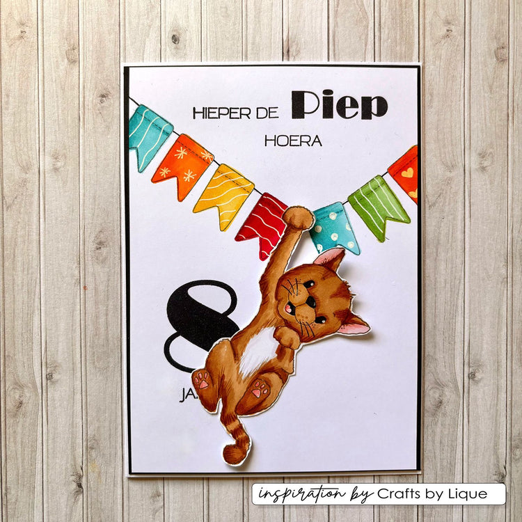 Vaessen creative • tampons transparents fête d'anniversaire d'Odey 2 12pcs.