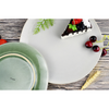 Assiette à cark couleur vert lac ø21cm