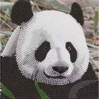 Carte de peinture de diamant Panda