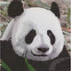 Carte de peinture de diamant Panda