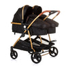 Chipolino Duo pliable Pram pour 2 obsidienne or noir
