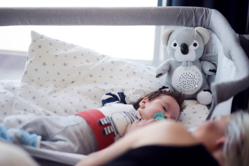 Chipolino en peluche bébé projecteur knuffelkoala avec lumière musicale