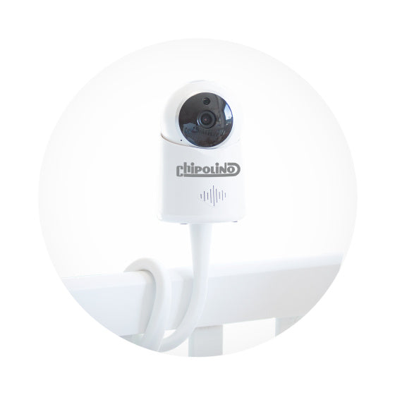 Chipolino Baby Monitor with Camera 5 LCD Affichage Baby Monitor