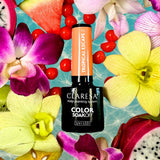 Claresa UV LED Gellak 5ml Échappement tropical 2 - afbeelding 3