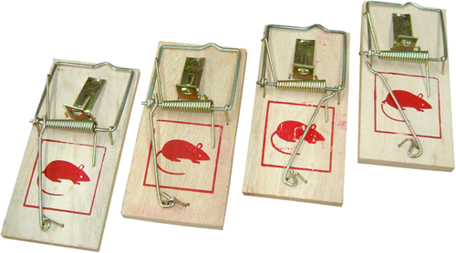 Con:p piège à souris en bois (4pcs) - b46505