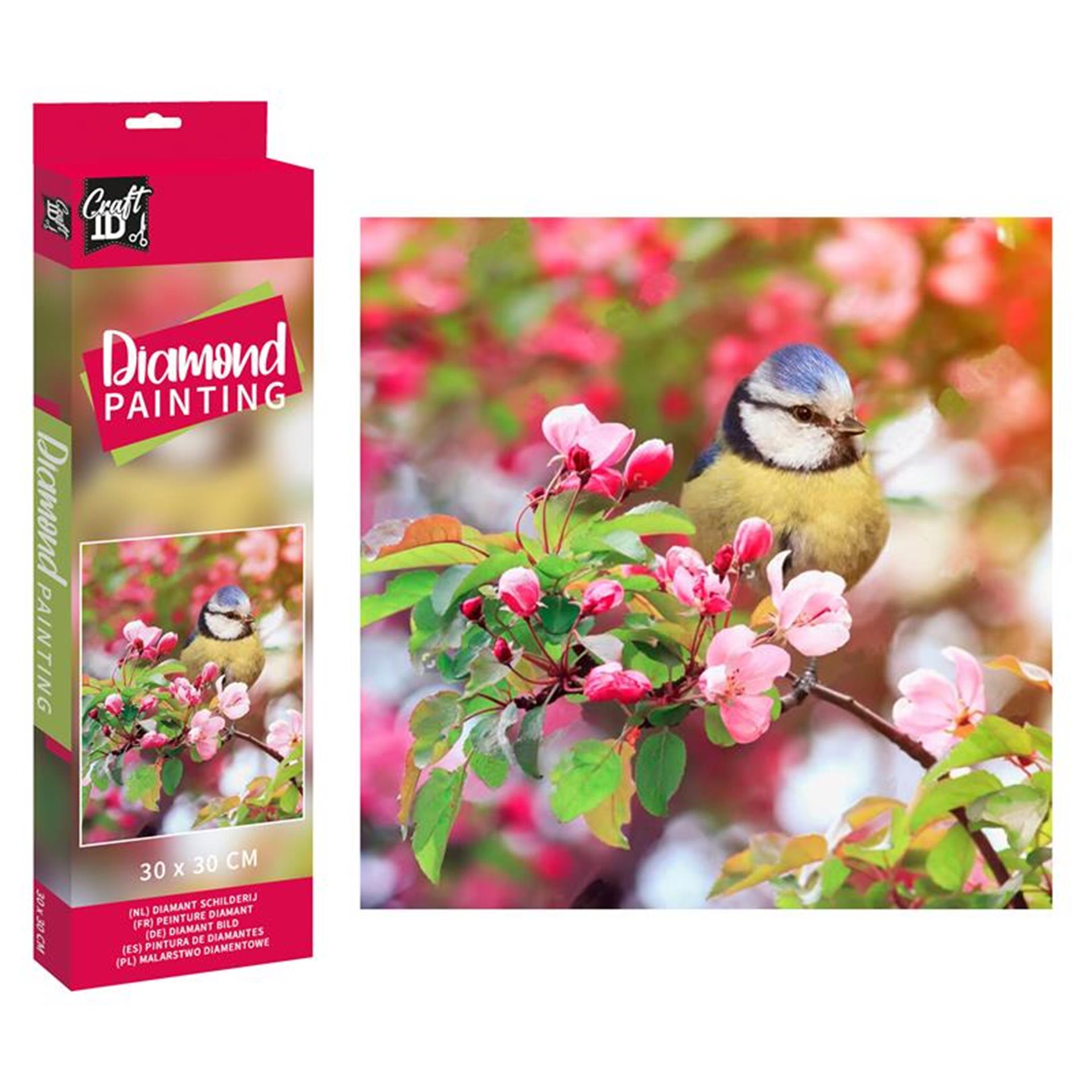 Grafix craft id peinture diamant oiseau 30x30cm