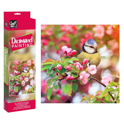 Grafix craft id peinture diamant oiseau 30x30cm