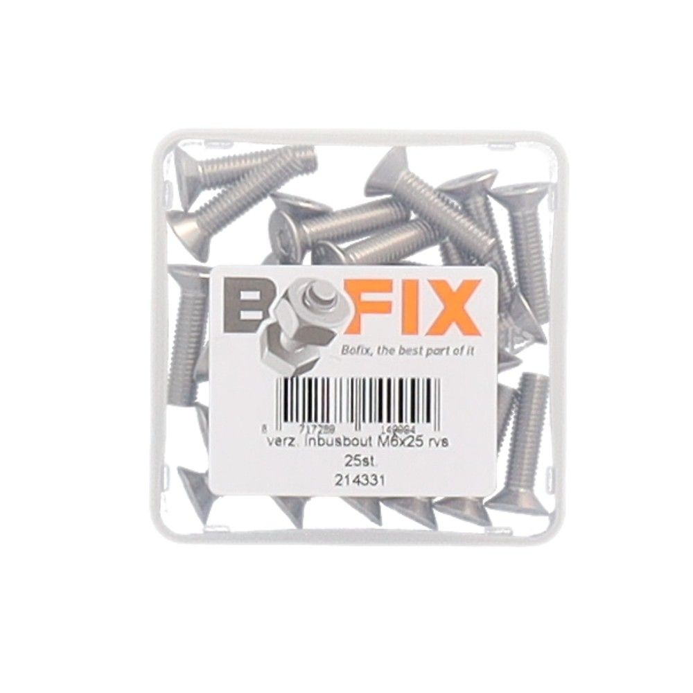 Boulon Bofix m6x25 torx en acier inoxydable plaqué avec un 25