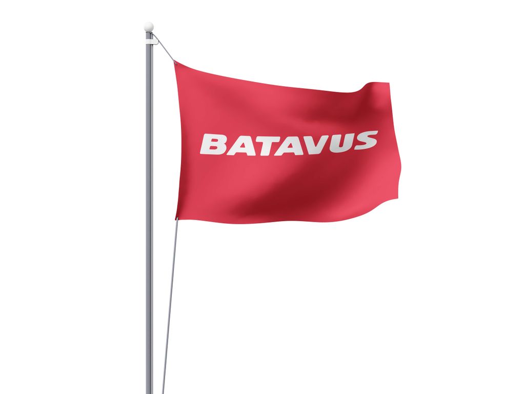 Drapeau Batavus 100x150