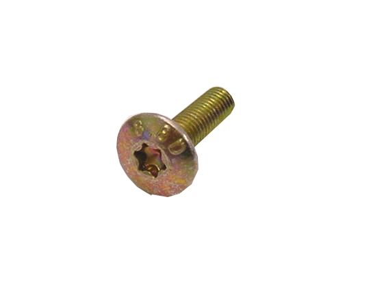 Batavus anp boulon à fente 5x18 torx ds a 10