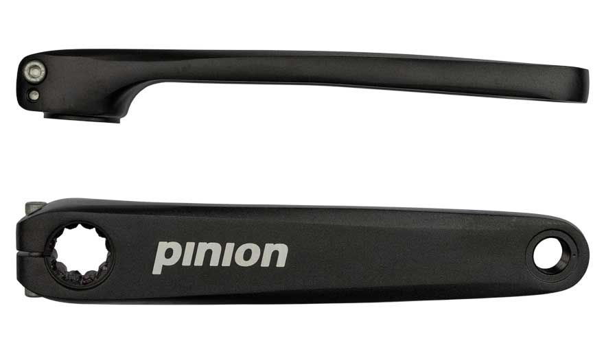 Pignon