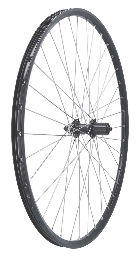 Roue arrière sans marque 28 craft21