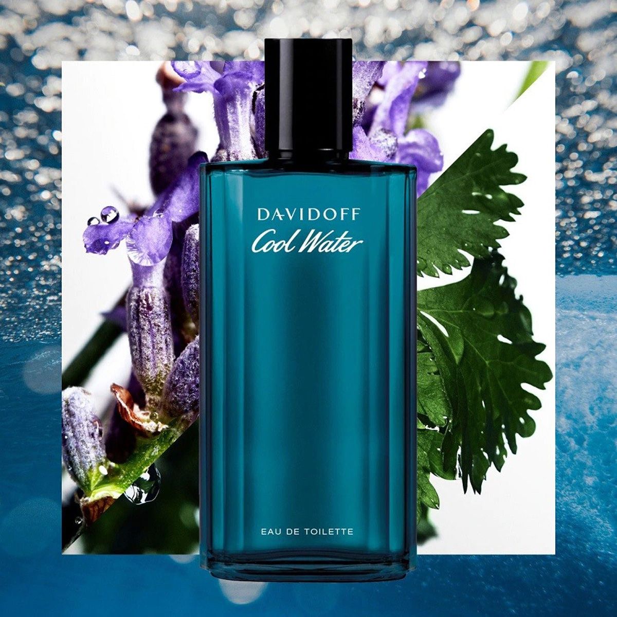 Davidoff Davidoff Men Eau de Toilette Spray Colater 125 ml Hommes
