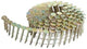 Clous en bobine Dewalt dnr3119hdz - galvanisés - 19 mm (1200pcs)