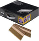 Accessoires Dewalt clous reliés en papier 3.1-90 droits galvanisés 2,2m - dnpt3190g12z