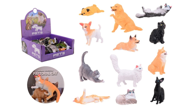 Johntoy expose les animaux du monde animal, 12 assortis