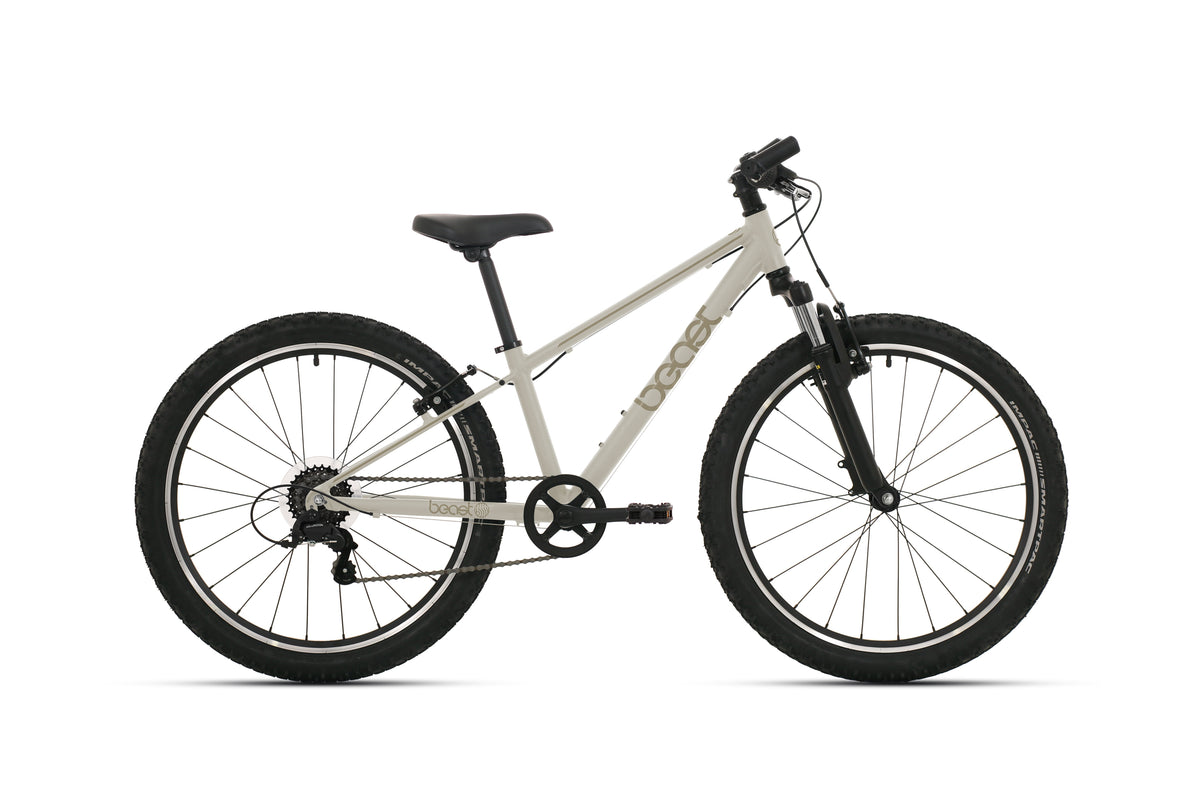 BikeFun Children's Bike the 20 pouces V-frein kiezelgrijs