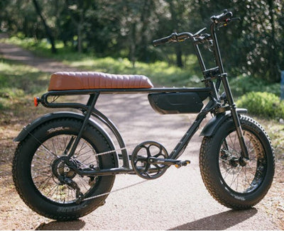 Deli Thundr Fatbike 102-406 (20x4,00) noir