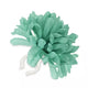 Basilic b.v. basilic 50372 fleur de dahlia. fleur de guidon. vert menthe