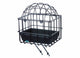 Autour du porteur avant du panier animal luna alu mat noir