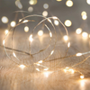 Guirlande lumineuse Pigeon LED 30 LED 300cm