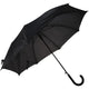 Parapluie noir