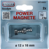 Connex aimant néodyme poignée d12mm 2 pcs 2kg - dy7100022