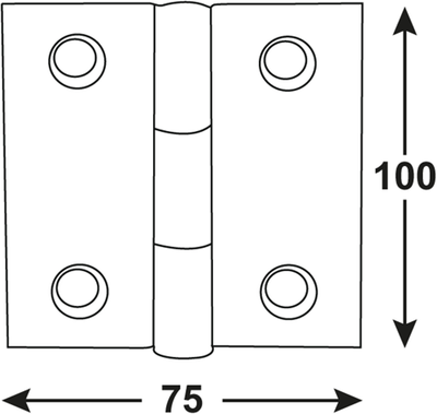 Charnière Connex 100x75mm bvz - dyb2006181