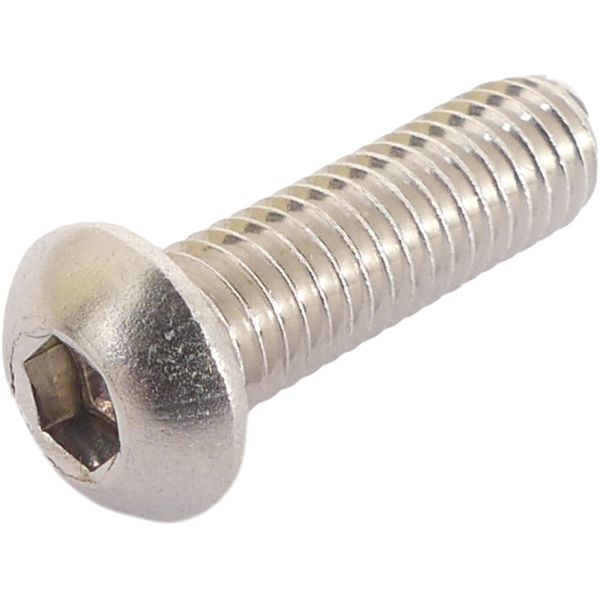 Boulon de disque de frein Bofix M6 Allen avec têtes de bulbe en acier inoxydable (10 pièces)