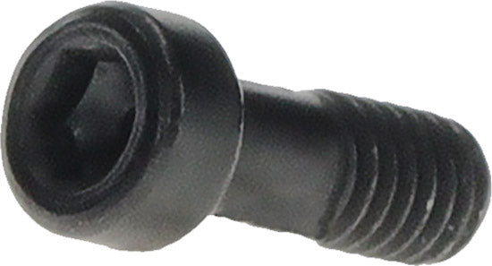 Boulon Bosch m4x10,5 pour purion 400