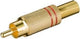 Bouchon tulipe Enzo plaqué or rouge 7097317
