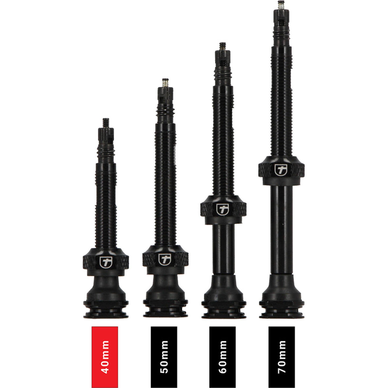 Trivio - valve tubeless noire fvt