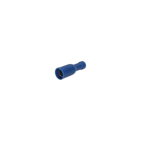 Femme de chaussure de câble de bord autour de 4.0